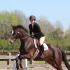 Ole Miss Equestrians at IHSA Regional and Zone Shows